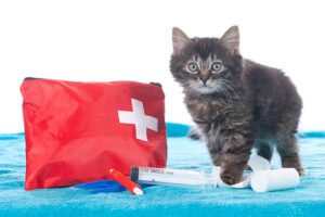 Pet’s First Aid Kit 