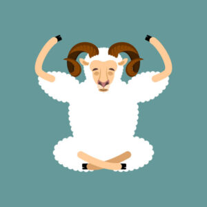 A Beginner's Guide to Start Goat Yoga