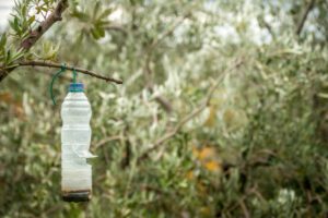  Homemade insecticides 