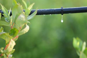 How to make good irrigation in your garden