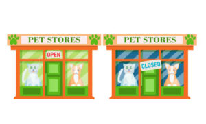 The Ultimate Guide: Places to Shop for Pet Products