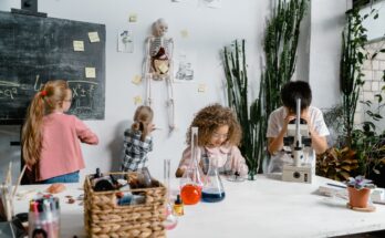 Best science project ideas for Class 10 students working on school science models