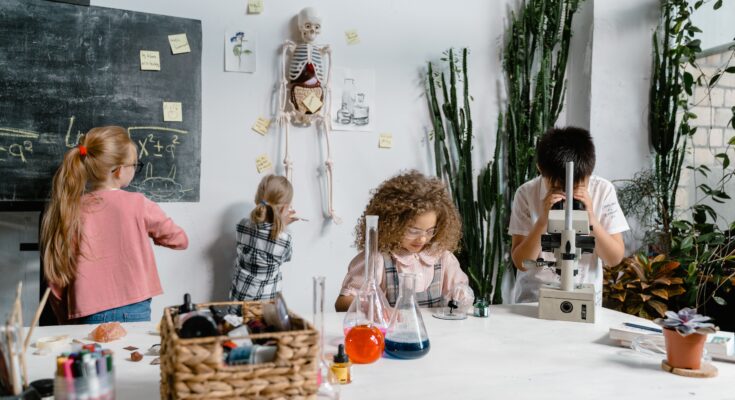 Best science project ideas for Class 10 students working on school science models