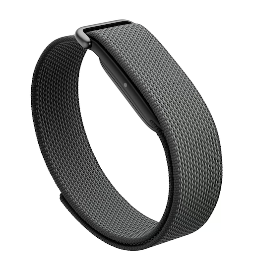 Google Fitbit Air