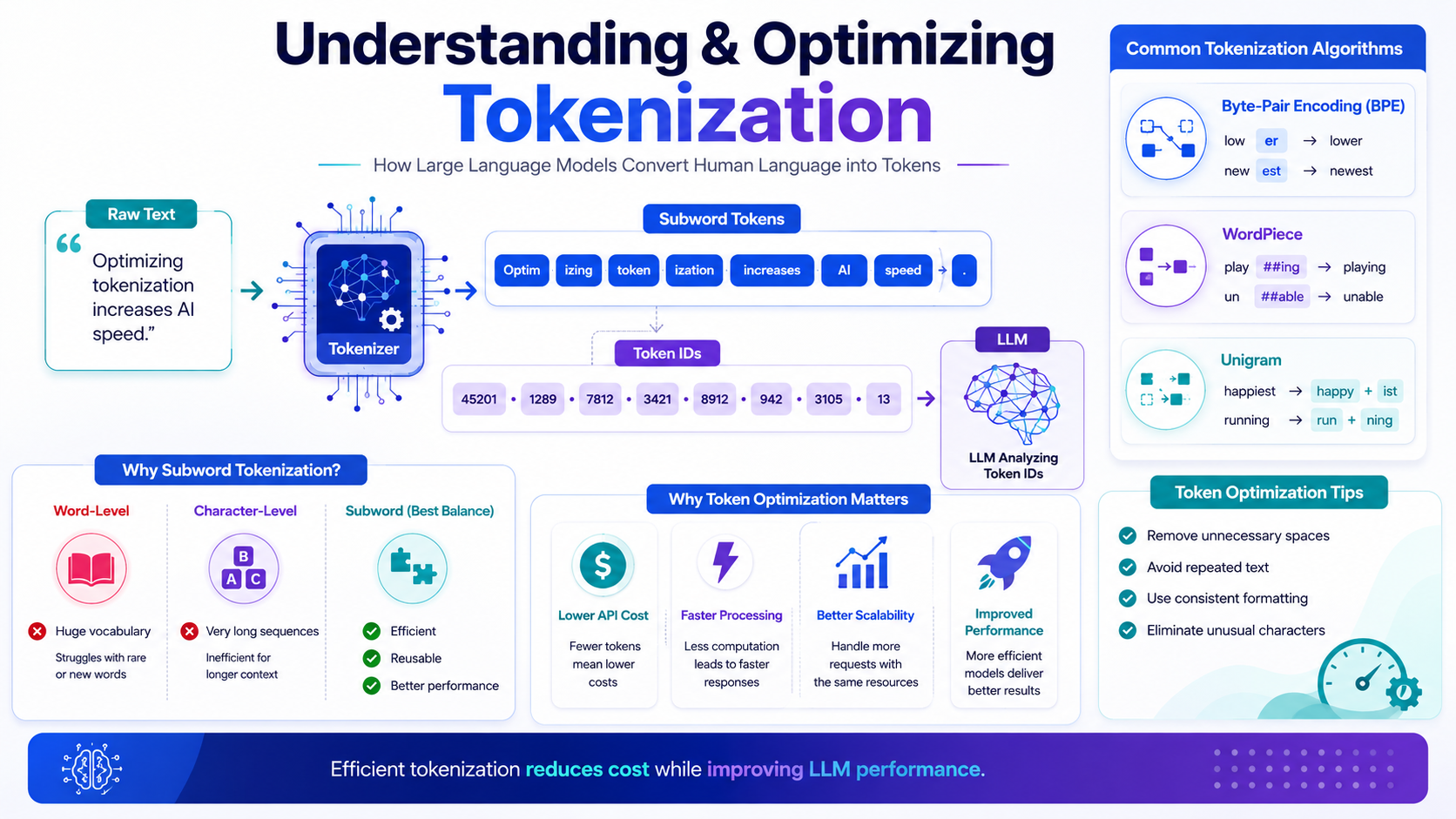 LLM tokenization overview infographic