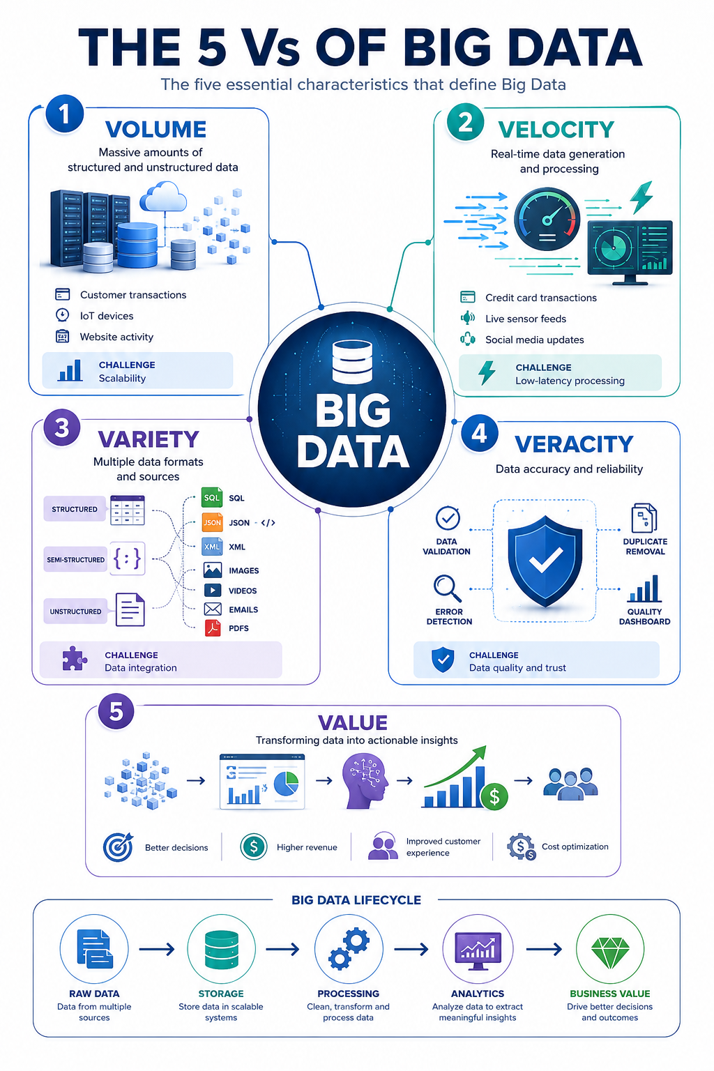 The 5 Vs of big data