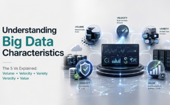 Understanding big data characteristics