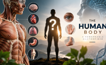 the Human body parts