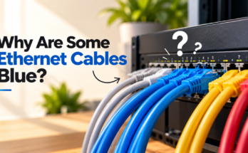 Why Are Some Ethernet Cables Blue?