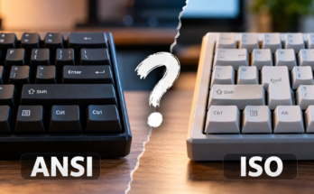 ANSI vs ISO Keyboard Comparison